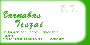 barnabas tiszai business card